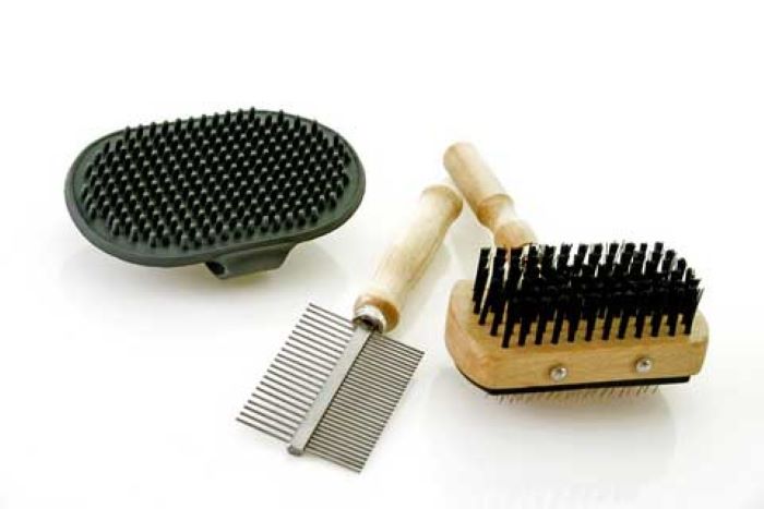 Cocker Spaniel Grooming tools