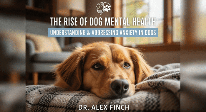 Decoding Dog Anxiety: What Does It Look Like?