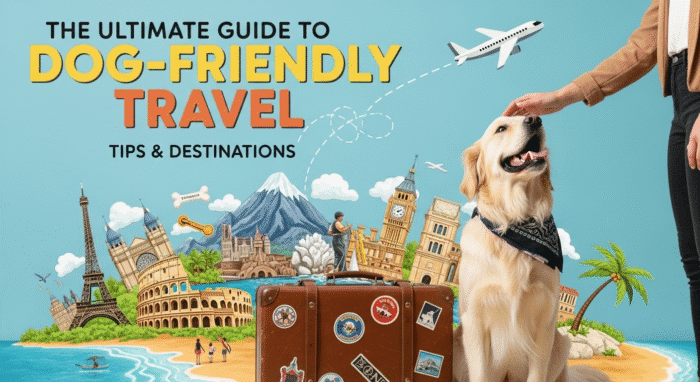 Planning Your Paw-fect Getaway
